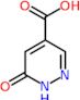 6-oxo-1H-pyridazine-4-carboxylic acid
