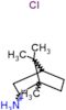 1,7,7-trimethylbicyclo[2.2.1]heptan-2-aminium chloride