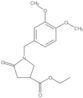 Ethyl 1-[(3,4-dimethoxyphenyl)methyl]-5-oxo-3-pyrrolidinecarboxylate