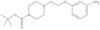 1,1-Dimethylethyl 4-[2-(3-aminophenoxy)ethyl]-1-piperazinecarboxylate
