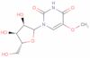 5-Methoxyuridine