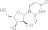 uracil-1-beta-D-arabinofuranoside