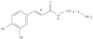 2-Propenamide,N-(4-aminobutyl)-3-(3,4-dihydroxyphenyl)-, (2E)-