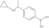Boronic acid, B-[4-[1-(cyclopropylamino)ethyl]phenyl]-