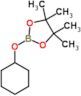 2-(Cyclohexyloxy)-4,4,5,5-tetramethyl-1,3,2-dioxaborolane