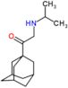 2-(propan-2-ylamino)-1-(tricyclo[3.3.1.1~3,7~]dec-1-yl)ethanone