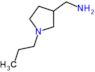 (1-propylpyrrolidin-3-yl)methanamine