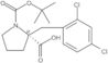 1-(1,1-Dimethylethyl) (2R)-2-[(2,4-dichlorophenyl)methyl]-1,2-pyrrolidinedicarboxylate