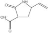 5-Ethenyl-2-oxo-3-pyrrolidinecarboxylic acid