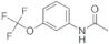 N1-[3-(Trifluoromethoxy)phenyl]acetamide