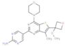 5-(6-(3-Methoxyoxetan-3-yl)-4-Morpholinothieno[3,2-d]pyriMidin-2-yl)pyriMidin-2-aMine