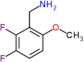 1-(2,3-difluoro-6-methoxyphenyl)methanamine