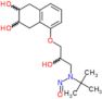 5-{3-[tert-butyl(nitroso)amino]-2-hydroxypropoxy}-1,2,3,4-tetrahydronaphthalene-2,3-diol