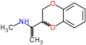 1-(2,3-dihydro-1,4-benzodioxin-2-yl)-N-methylethanamine