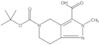 5-(1,1-Dimethylethyl) 2,4,6,7-tetrahydro-2-methyl-5H-pyrazolo[4,3-c]pyridine-3,5-dicarboxylate