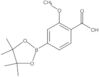 2-Methoxy-4-(4,4,5,5-tetramethyl-1,3,2-dioxaborolan-2-yl)benzoic acid