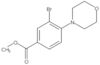 Methyl 3-bromo-4-(4-morpholinyl)benzoate