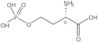 O-Phosphono-L-homoserine