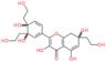 2-[3,4-dihydroxy-3,4-bis(2-hydroxyethyl)cyclohexa-1,5-dien-1-yl]-3,5,7-trihydroxy-7-(2-hydroxyethy…