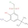 Phenol, 2-(aminomethyl)-6-[(chloromethyl)sulfonyl]-4-(1,1-dimethylethyl)-