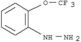 Hydrazine,[2-(trifluoromethoxy)phenyl]-