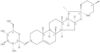 γ-Solamargine