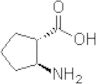 (1R,2R)-2-amino cyclopetanecarboxylic acid
