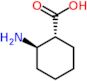 (1R,2R)-2-aminocyclohexanecarboxylic acid
