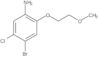 4-Bromo-5-chloro-2-(2-methoxyethoxy)benzenamine