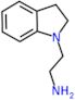 2-(2,3-dihydro-1H-indol-1-yl)ethanamine