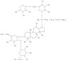 b-D-Glucopyranoside,(3b,12b)-3-[(6-O-acetyl-2-O-b-D-glucopyranosyl-b-D-glucopyranosyl)oxy]-12-hydr…