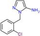 1-(2-chlorobenzyl)-1H-pyrazol-5-amine