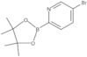 5-Bromo-2-(4,4,5,5-tetramethyl-1,3,2-dioxaborolan-2-yl)pyridine