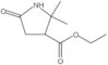 Ethyl 2,2-dimethyl-5-oxo-3-pyrrolidinecarboxylate