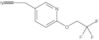 6-(2,2,2-Trifluoroethoxy)-3-pyridineacetonitrile