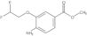 Methyl 4-amino-3-(2,2-difluoroethoxy)benzoate