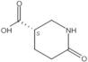 (3S)-6-Oxo-3-piperidinecarboxylic acid