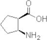 (1R,2S)-2-amino cyclopetanecarboxylic acid