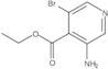 Ethyl 3-amino-5-bromo-4-pyridinecarboxylate