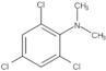 2,4,6-Trichloro-N,N-dimethylbenzenamine