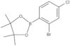 2-(2-Bromo-4-chlorophenyl)-4,4,5,5-tetramethyl-1,3,2-dioxaborolane