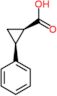 (1R,2S)-2-phenylcyclopropanecarboxylic acid