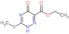 ethyl 3-(methylsulfanyl)-5-oxo-2,5-dihydro-1,2,4-triazine-6-carboxylate