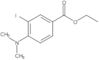 Benzoic acid, 4-(dimethylamino)-3-iodo-, ethyl ester