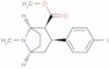 CAINDEXNAME:8-AZABICYCLO[3.2.1]OCTANE-2-CARBOXYLIC