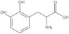 2,3-Dihydroxyphenylalanine