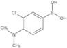 Boronic acid, [3-chloro-4-(dimethylamino)phenyl]-