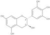 rel-(2R,3S)-3,4-Dihydro-2-(3,4,5-trihydroxyphenyl)-2H-1-benzopyran-3,5,7-triol
