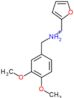 (3,4-dimethoxyphenyl)-N-(furan-2-ylmethyl)methanaminium