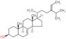 (3beta,24Z)-stigmasta-7,24(28)-dien-3-ol